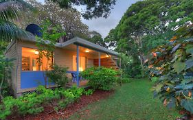 The Broken Banyan